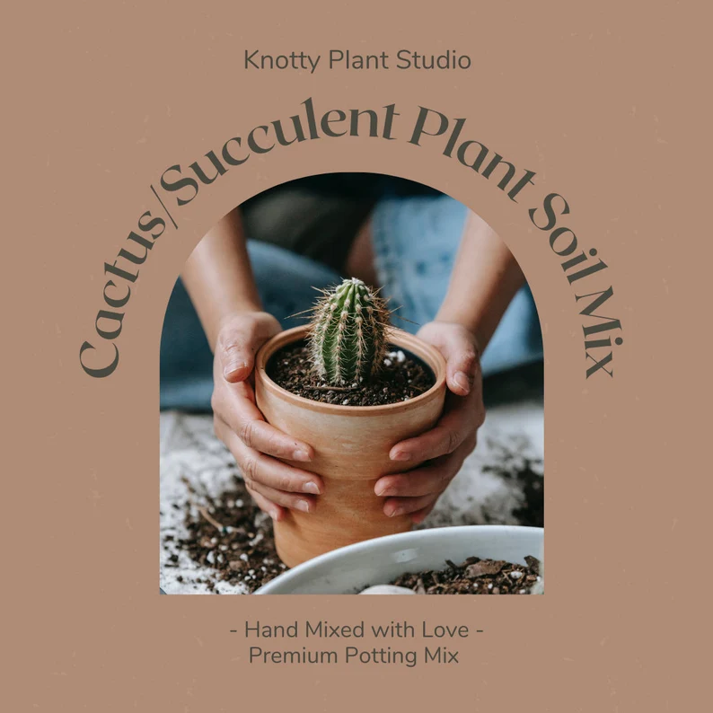 Knotty Plant Studio Organic Cactus & Succulent Mix