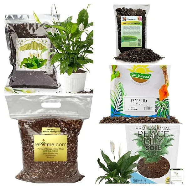 Peace Lily Potting Mix Collage