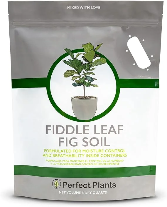 Perfect Plants Fiddle Leaf Fig Soil