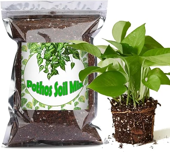 Organic Pothos Soil Mix