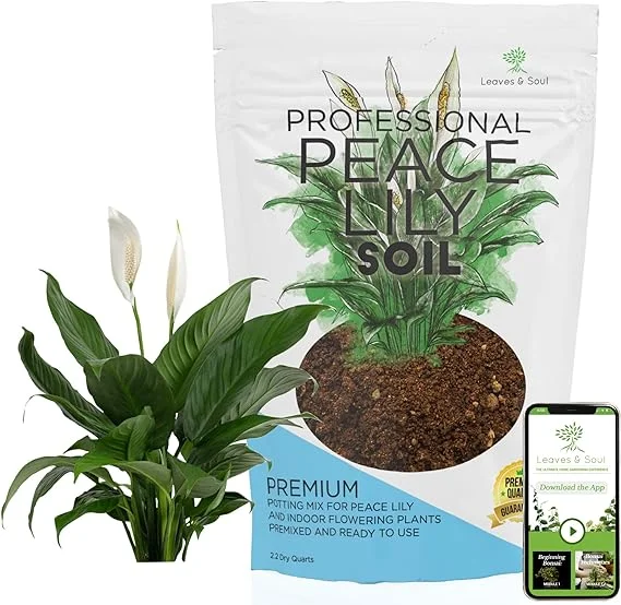 Professional Peace Lily Soil