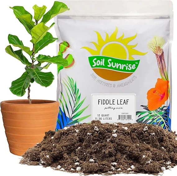 Soil Sunrise Fiddle Leaf Fig Potting Soil Mix